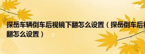 探岳车辆倒车后视镜下翻怎么设置（探岳倒车后视镜自动下翻怎么设置）