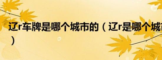 辽r车牌是哪个城市的（辽r是哪个城市的车牌）