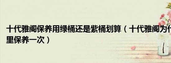 十代雅阁保养用绿桶还是紫桶划算（十代雅阁为什么5000公里保养一次）