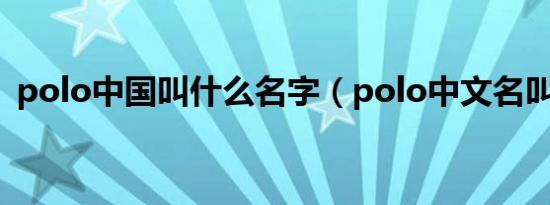 polo中国叫什么名字（polo中文名叫什么）