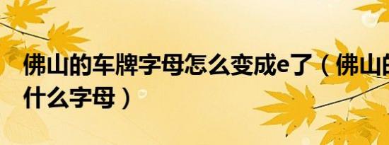 佛山的车牌字母怎么变成e了（佛山的车牌是什么字母）