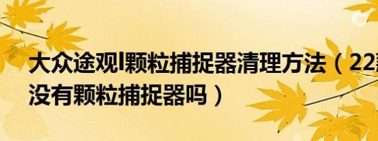 大众途观l颗粒捕捉器清理方法（22款途观L没有颗粒捕捉器吗）