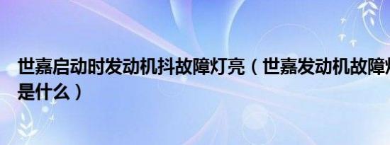 世嘉启动时发动机抖故障灯亮（世嘉发动机故障灯消除方法是什么）