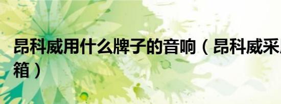 昂科威用什么牌子的音响（昂科威采用什么音箱）