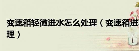 变速箱轻微进水怎么处理（变速箱进水怎么处理）