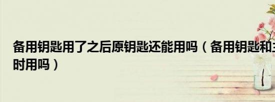 备用钥匙用了之后原钥匙还能用吗（备用钥匙和主钥匙能同时用吗）