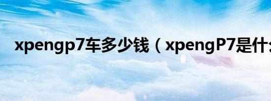 xpengp7车多少钱（xpengP7是什么车）