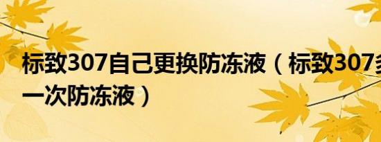 标致307自己更换防冻液（标致307多久更换一次防冻液）