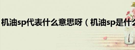 机油sp代表什么意思呀（机油sp是什么意思）