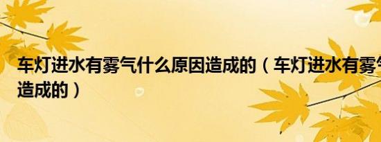 车灯进水有雾气什么原因造成的（车灯进水有雾气什么原因造成的）