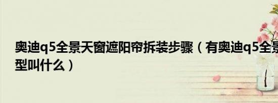 奥迪q5全景天窗遮阳帘拆装步骤（有奥迪q5全景天窗的车型叫什么）