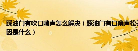 踩油门有吹口哨声怎么解决（踩油门有口哨声松开消失的原因是什么）