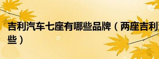 吉利汽车七座有哪些品牌（两座吉利汽车有哪些）