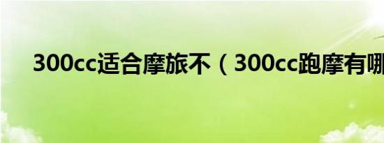 300cc适合摩旅不（300cc跑摩有哪些）