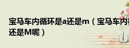 宝马车内循环是a还是m（宝马车内循环是A还是M呢）