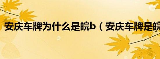 安庆车牌为什么是皖b（安庆车牌是皖什么）