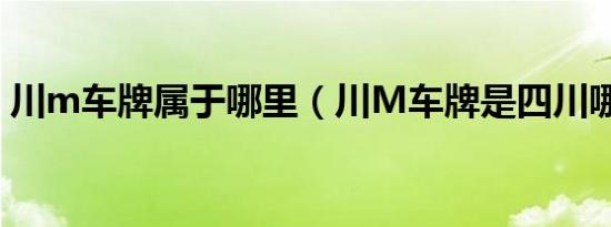 川m车牌属于哪里（川M车牌是四川哪个市）