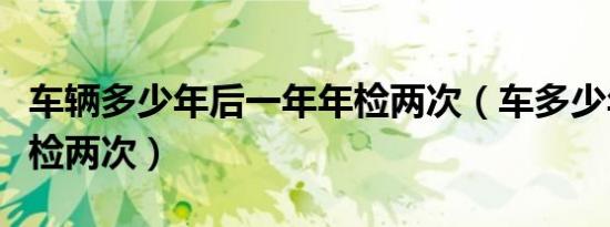 车辆多少年后一年年检两次（车多少年后一年检两次）