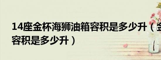 14座金杯海狮油箱容积是多少升（金杯油箱容积是多少升）