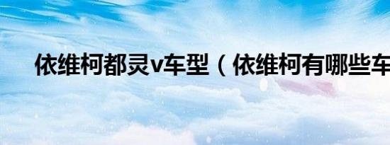 依维柯都灵v车型（依维柯有哪些车型）