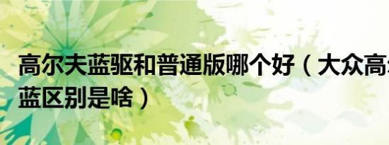 高尔夫蓝驱和普通版哪个好（大众高尔夫和微蓝区别是啥）
