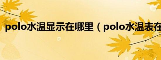 polo水温显示在哪里（polo水温表在哪里）