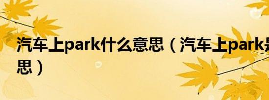 汽车上park什么意思（汽车上park是什么意思）