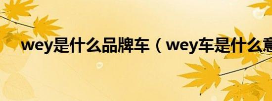 wey是什么品牌车（wey车是什么意思）