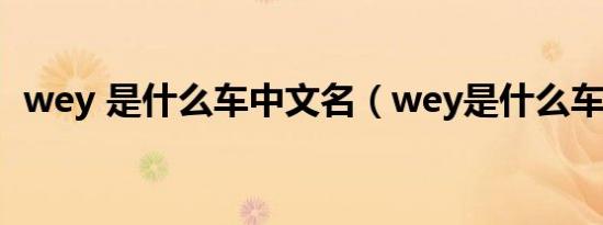 wey 是什么车中文名（wey是什么车中文）