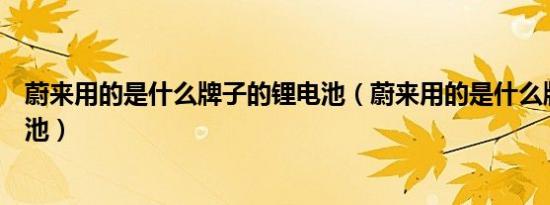 蔚来用的是什么牌子的锂电池（蔚来用的是什么牌子的锂电池）