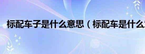 标配车子是什么意思（标配车是什么意思）