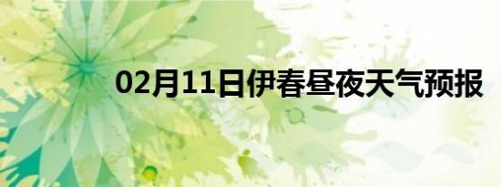 02月11日伊春昼夜天气预报