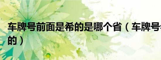 车牌号前面是希的是哪个省（车牌号希是哪里的）