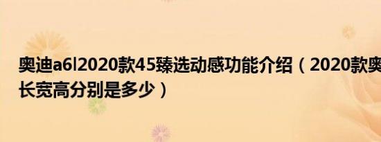 奥迪a6l2020款45臻选动感功能介绍（2020款奥迪a6l尺寸长宽高分别是多少）