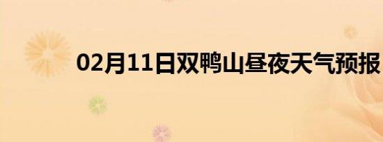 02月11日双鸭山昼夜天气预报