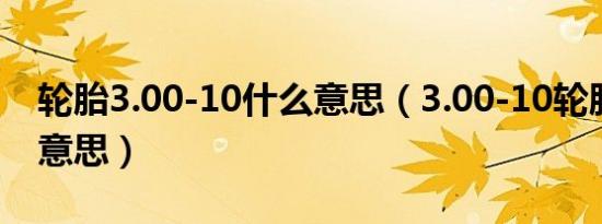 轮胎3.00-10什么意思（3.00-10轮胎是什么意思）