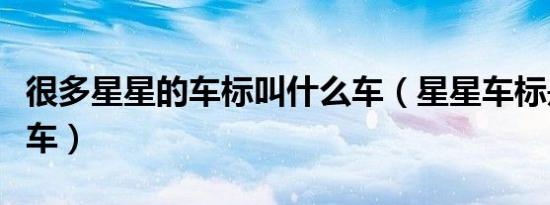 很多星星的车标叫什么车（星星车标是什么汽车）