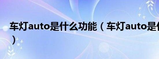 车灯auto是什么功能（车灯auto是什么意思）