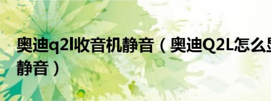 奥迪q2l收音机静音（奥迪Q2L怎么显示娱乐静音）