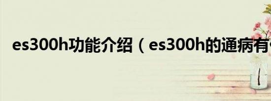 es300h功能介绍（es300h的通病有什么）