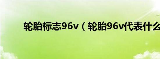 轮胎标志96v（轮胎96v代表什么）