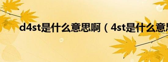 d4st是什么意思啊（4st是什么意思）