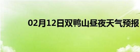 02月12日双鸭山昼夜天气预报