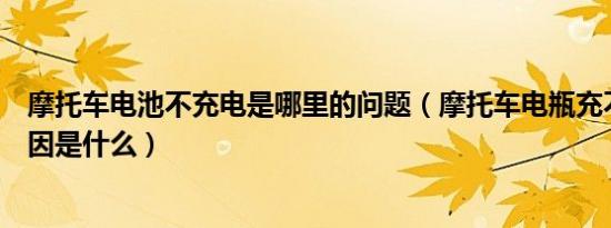 摩托车电池不充电是哪里的问题（摩托车电瓶充不进电的原因是什么）