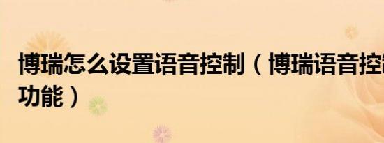 博瑞怎么设置语音控制（博瑞语音控制有哪些功能）