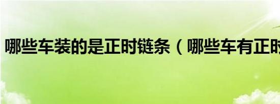 哪些车装的是正时链条（哪些车有正时链条）