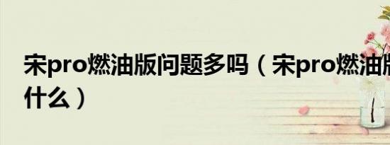 宋pro燃油版问题多吗（宋pro燃油版通病是什么）