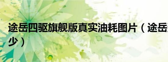 途岳四驱旗舰版真实油耗图片（途岳油耗是多少）