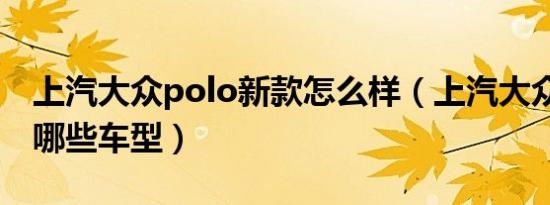上汽大众polo新款怎么样（上汽大众polo有哪些车型）