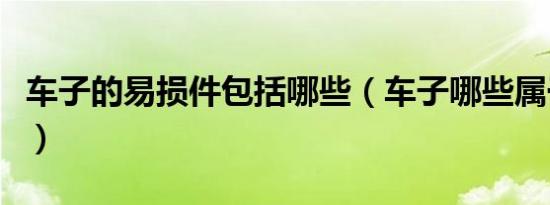 车子的易损件包括哪些（车子哪些属于易损件）